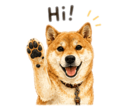 852856218