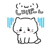 852856794