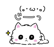 852856804