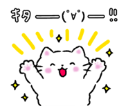 852856806