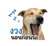 852867034