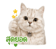 852868253