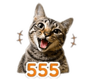 852869547