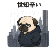 852872035