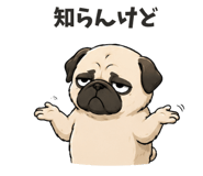 852872038