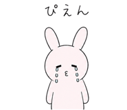 852873537