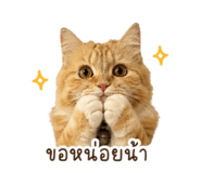852880121