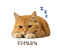 852880125