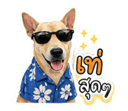 852880921
