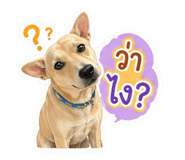 852880927