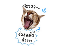 852884272