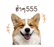 852886235