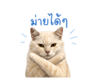 852886678