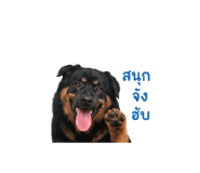 852887081