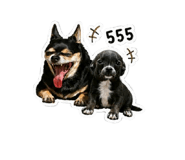 852888969