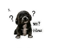 852888971