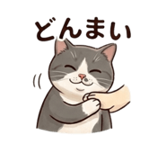 852896741