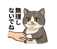 852896745