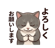 852896751