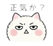 852896843