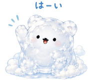 852897777