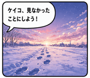 852900228