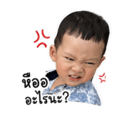 852900515