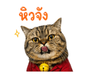 852902174