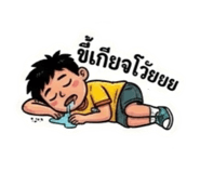 852902505