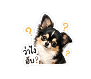 852906215