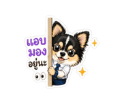 852906238