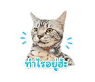 852908195