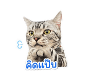 852908197