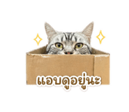852908205