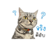 852908207