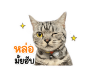 852908220