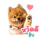 852909126