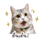 852909395