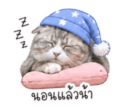 852909396