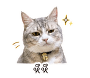 852909398