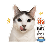 852911115