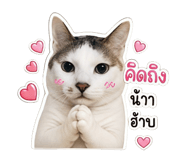 852911124
