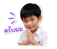 852912228