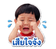 852912239
