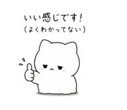 852920300