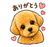 852920361