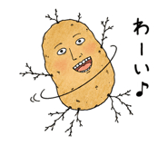 852920760