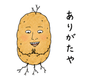 852920771