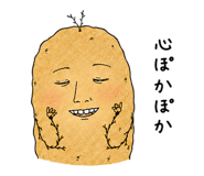 852920778