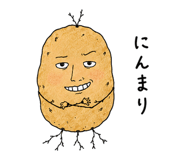 852920784